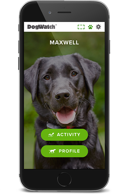 DogWatch of St. Louis, St. Louis, Missouri | SmartFence WebApp Image