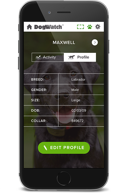 DogWatch of St. Louis, St. Louis, Missouri | SmartFence WebApp Image